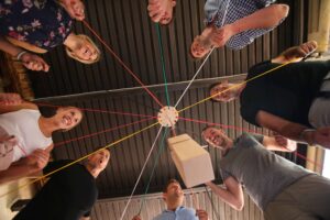 Professionals developing communication and leadership skills through an experiential CPD activity